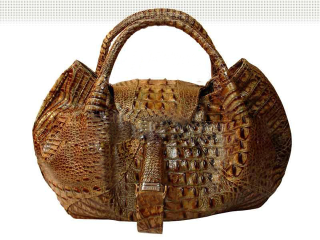 Fendi Spy Bag Brown  Fendi Spy Bag Brown